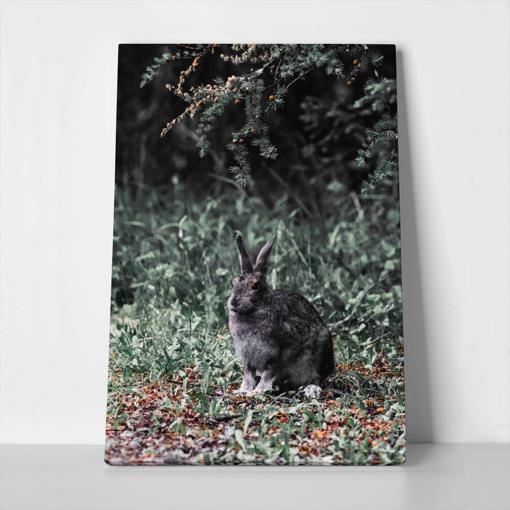 Πίνακας σε Καμβά RUSTIC FARMHOUSE RABBIT