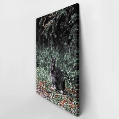 Πίνακας σε Καμβά RUSTIC FARMHOUSE RABBIT -  Sticky 2