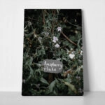 Πίνακας σε Καμβά RUSTIC FARMHOUSE RASPBERRY FLAKE