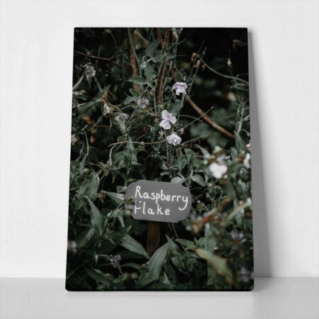 Πίνακας σε Καμβά RUSTIC FARMHOUSE RASPBERRY FLAKE - 