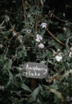 Πίνακας σε Καμβά RUSTIC FARMHOUSE RASPBERRY FLAKE