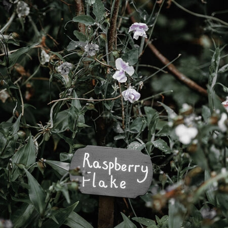 Πίνακας σε Καμβά RUSTIC FARMHOUSE RASPBERRY FLAKE -  Sticky 5
