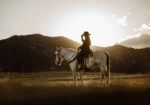 Πίνακας σε Καμβά RUSTIC FARMHOUSE RIDER