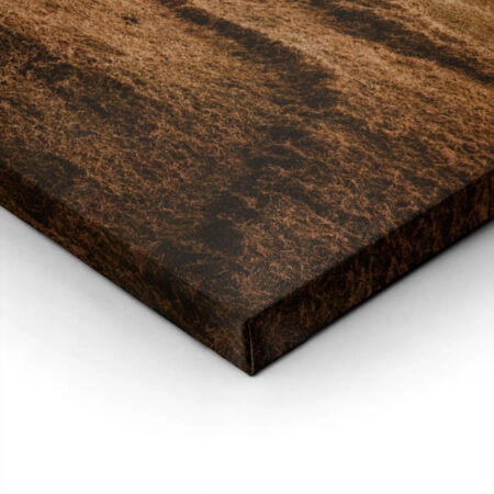 Πίνακας σε Καμβά RUSTIC FARMHOUSE RIVER 2 -  Sticky 1