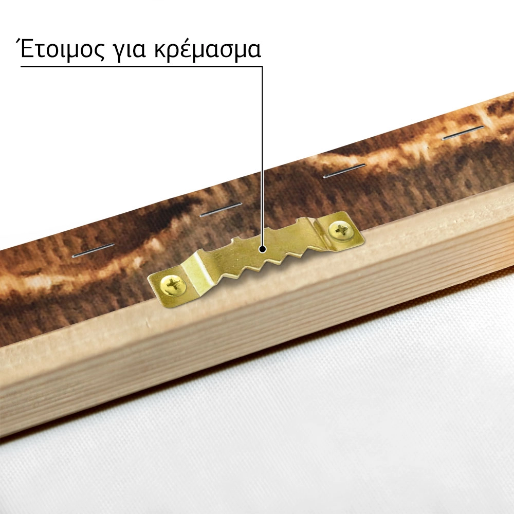 Πίνακας σε Καμβά RUSTIC FARMHOUSE SACKS