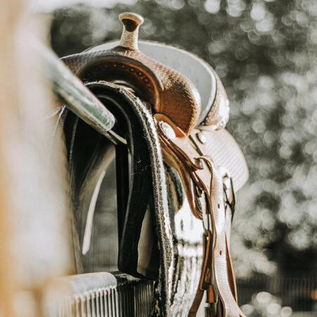 Πίνακας σε Καμβά RUSTIC FARMHOUSE SADDLE 2 -  Sticky 5