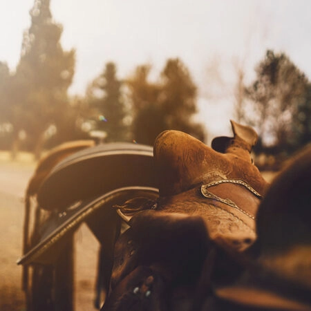 Πίνακας σε Καμβά RUSTIC FARMHOUSE SADDLE 4 -  Sticky 5
