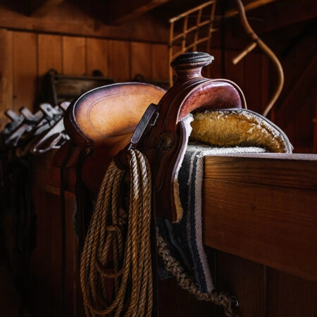 Πίνακας σε Καμβά RUSTIC FARMHOUSE SADDLE -  Sticky 5