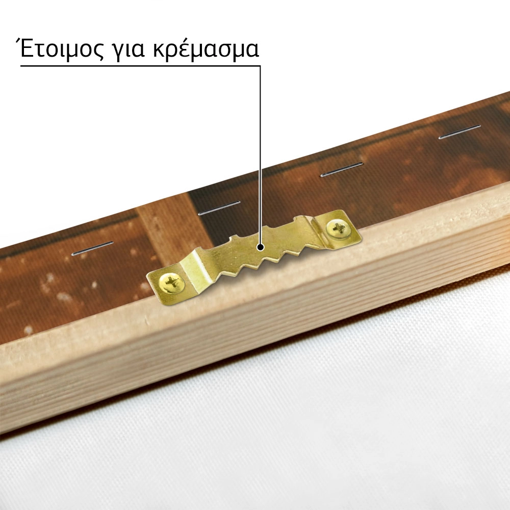Πίνακας σε Καμβά RUSTIC FARMHOUSE SHED 3