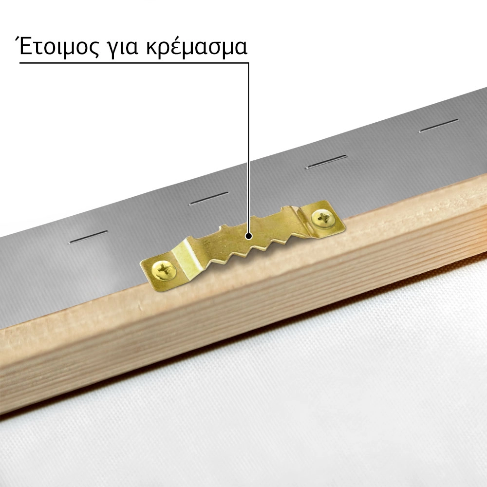 Πίνακας σε Καμβά RUSTIC FARMHOUSE SHED 4