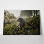Πίνακας σε Καμβά RUSTIC FARMHOUSE SHEEP 2