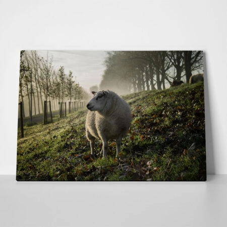 Πίνακας σε Καμβά RUSTIC FARMHOUSE SHEEP 2 - 