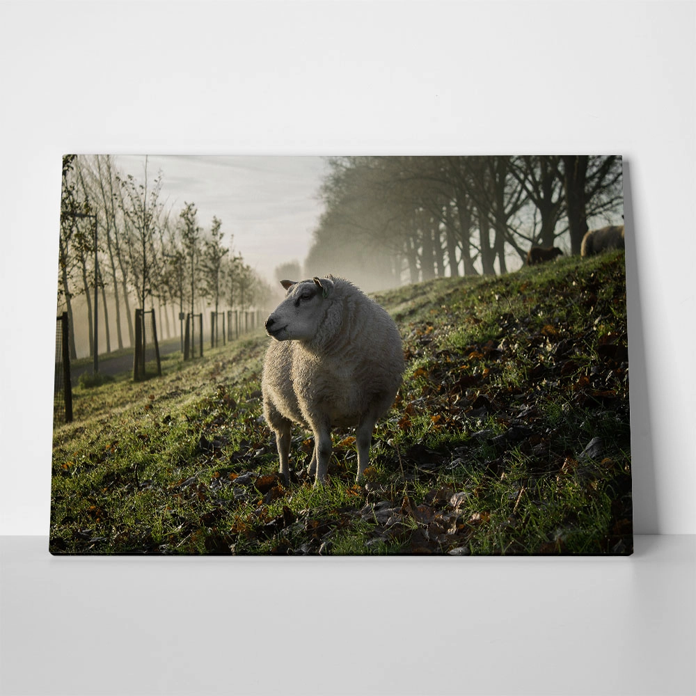 Πίνακας σε Καμβά RUSTIC FARMHOUSE SHEEP 2