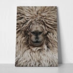Πίνακας σε Καμβά RUSTIC FARMHOUSE SHEEP