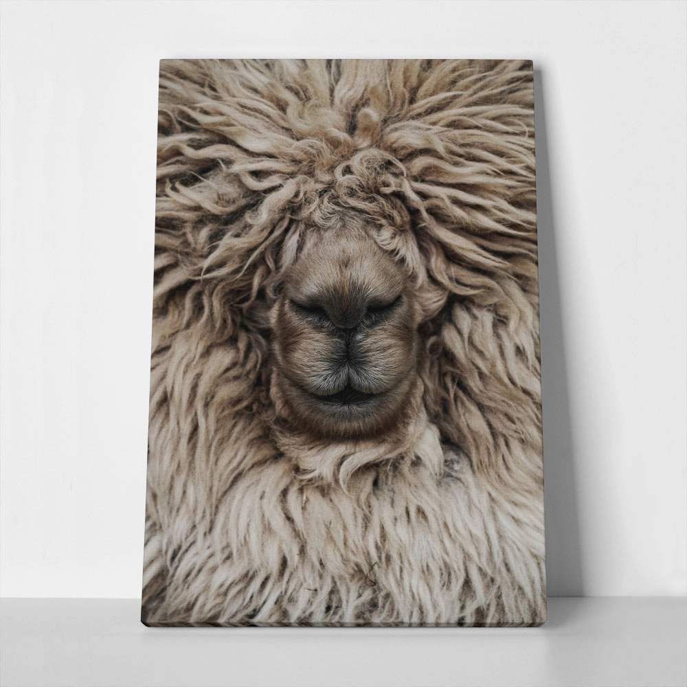 Πίνακας σε Καμβά RUSTIC FARMHOUSE SHEEP