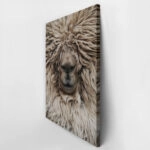 Πίνακας σε Καμβά RUSTIC FARMHOUSE SHEEP