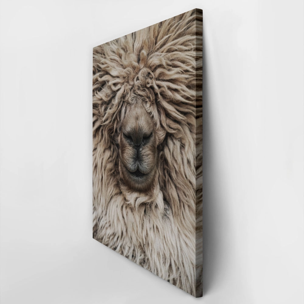 Πίνακας σε Καμβά RUSTIC FARMHOUSE SHEEP