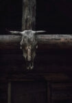 Πίνακας σε Καμβά RUSTIC FARMHOUSE SKULL