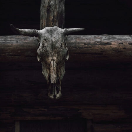 Πίνακας σε Καμβά RUSTIC FARMHOUSE SKULL -  Sticky 5