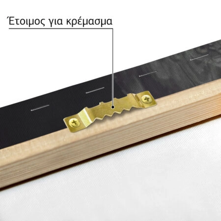 Πίνακας σε Καμβά RUSTIC FARMHOUSE SKULL -  Sticky 4