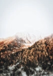 Πίνακας σε Καμβά RUSTIC FARMHOUSE SNOWY MOUNTAIN 2