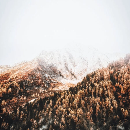 Πίνακας σε Καμβά RUSTIC FARMHOUSE SNOWY MOUNTAIN 2 -  Sticky 5