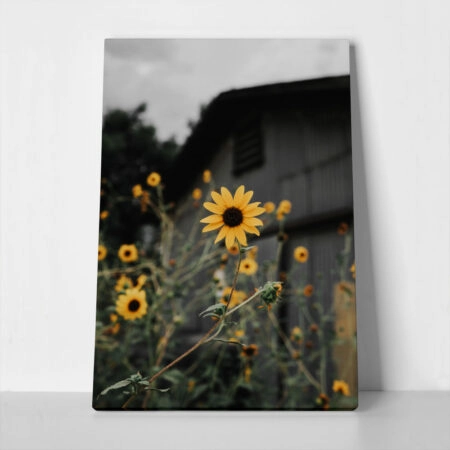 Πίνακας σε Καμβά RUSTIC FARMHOUSE SUNFLOWERS 2