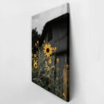 Πίνακας σε Καμβά RUSTIC FARMHOUSE SUNFLOWERS 2