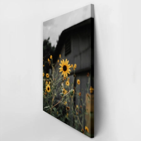 Πίνακας σε Καμβά RUSTIC FARMHOUSE SUNFLOWERS 2 -  Sticky 2