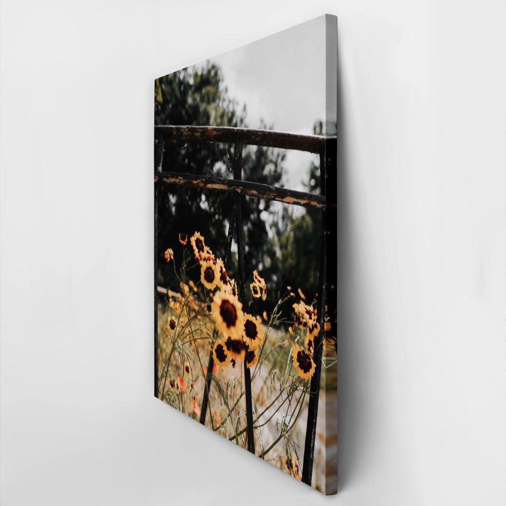 Πίνακας σε Καμβά RUSTIC FARMHOUSE SUNFLOWERS 3
