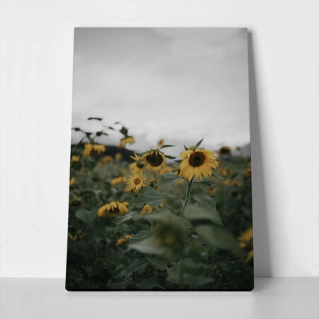 Πίνακας σε Καμβά RUSTIC FARMHOUSE SUNFLOWERS 4