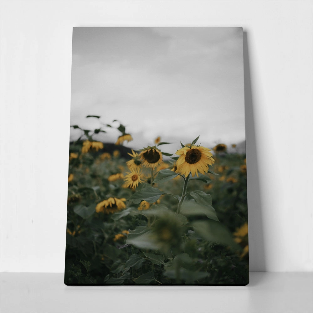 Πίνακας σε Καμβά RUSTIC FARMHOUSE SUNFLOWERS 4