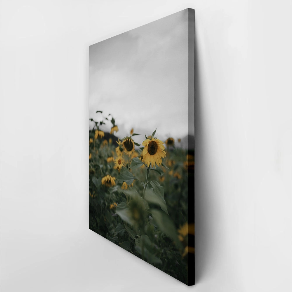 Πίνακας σε Καμβά RUSTIC FARMHOUSE SUNFLOWERS 4