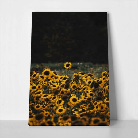 Πίνακας σε Καμβά RUSTIC FARMHOUSE SUNFLOWERS 5 - 