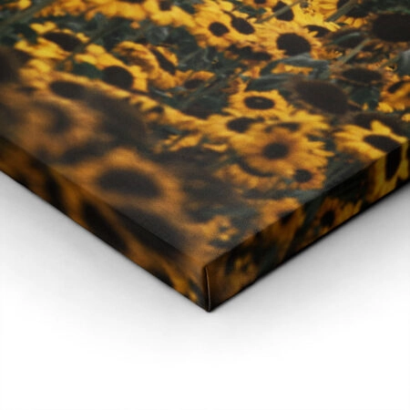 Πίνακας σε Καμβά RUSTIC FARMHOUSE SUNFLOWERS 5 -  Sticky 1