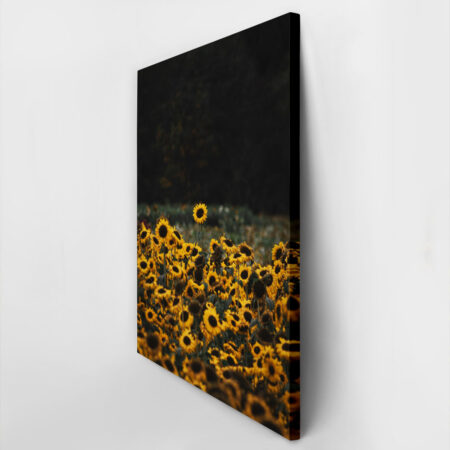 Πίνακας σε Καμβά RUSTIC FARMHOUSE SUNFLOWERS 5 -  Sticky 2
