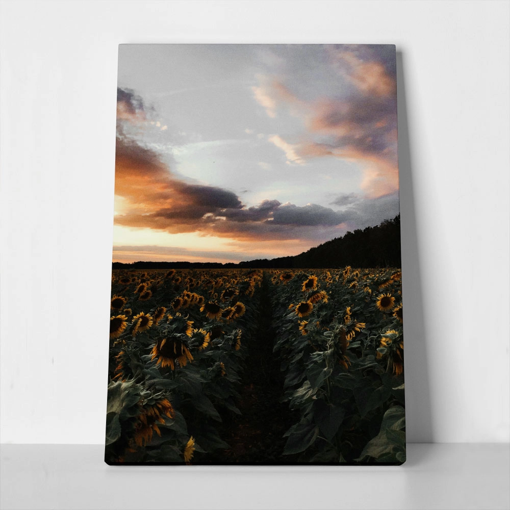 Πίνακας σε Καμβά RUSTIC FARMHOUSE SUNFLOWERS