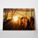 Πίνακας σε Καμβά RUSTIC FARMHOUSE SUNSET