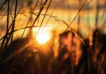 Πίνακας σε Καμβά RUSTIC FARMHOUSE SUNSET