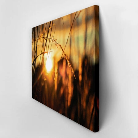 Πίνακας σε Καμβά RUSTIC FARMHOUSE SUNSET -  Sticky 2