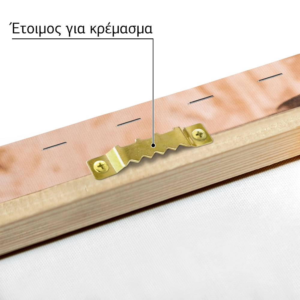 Πίνακας σε Καμβά RUSTIC FARMHOUSE TOOLS 3