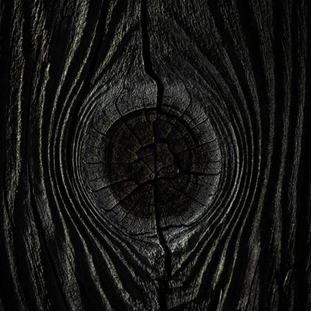 Πίνακας σε Καμβά RUSTIC FARMHOUSE TREE BARK 2 -  Sticky 5