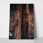 Πίνακας σε Καμβά RUSTIC FARMHOUSE TREE BARK 3