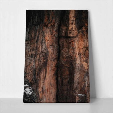 Πίνακας σε Καμβά RUSTIC FARMHOUSE TREE BARK 3