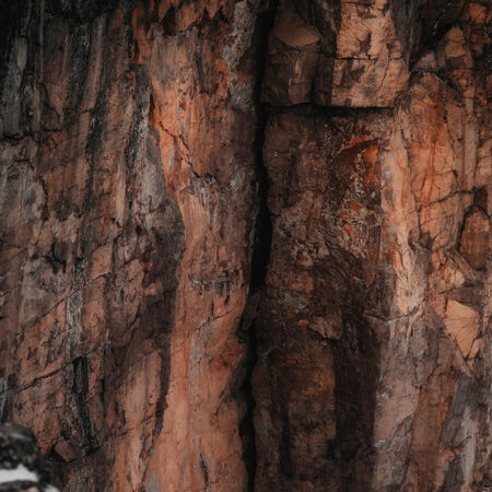 Πίνακας σε Καμβά RUSTIC FARMHOUSE TREE BARK 3 -  Sticky 5