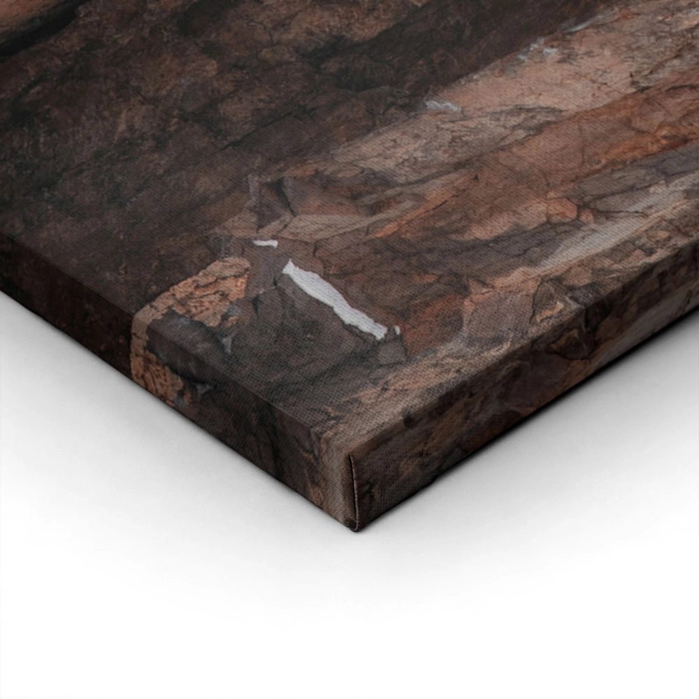 Πίνακας σε Καμβά RUSTIC FARMHOUSE TREE BARK 3