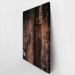 Πίνακας σε Καμβά RUSTIC FARMHOUSE TREE BARK 3