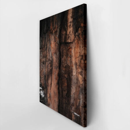 Πίνακας σε Καμβά RUSTIC FARMHOUSE TREE BARK 3 -  Sticky 2