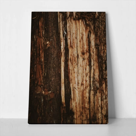 Πίνακας σε Καμβά RUSTIC FARMHOUSE TREE BARK 4
