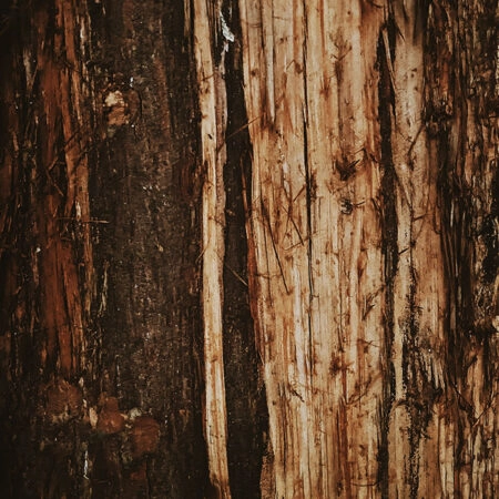 Πίνακας σε Καμβά RUSTIC FARMHOUSE TREE BARK 4 -  Sticky 5